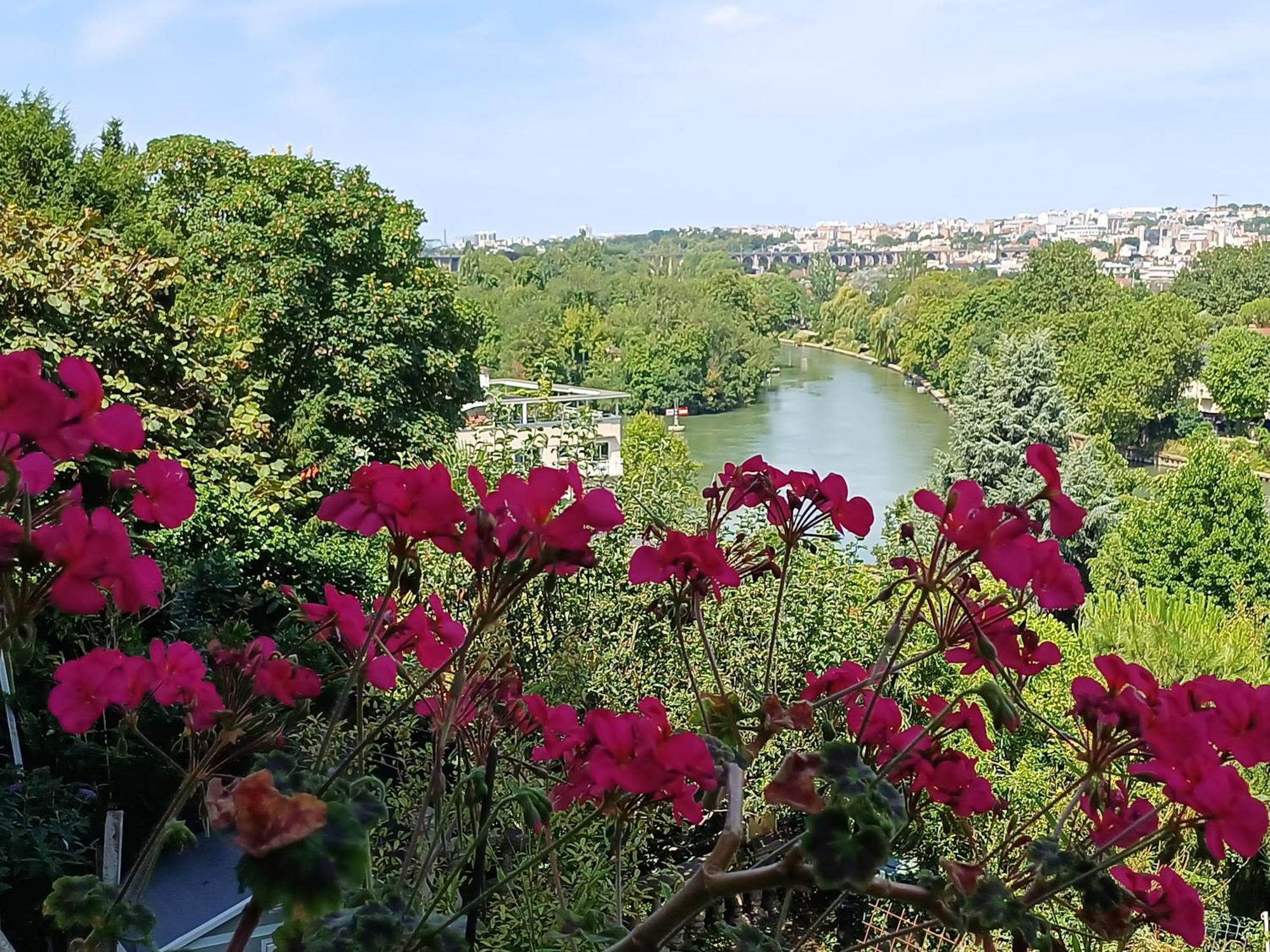 Paris With Added Zen *